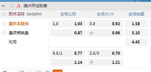 墨尔本胜利.jpg